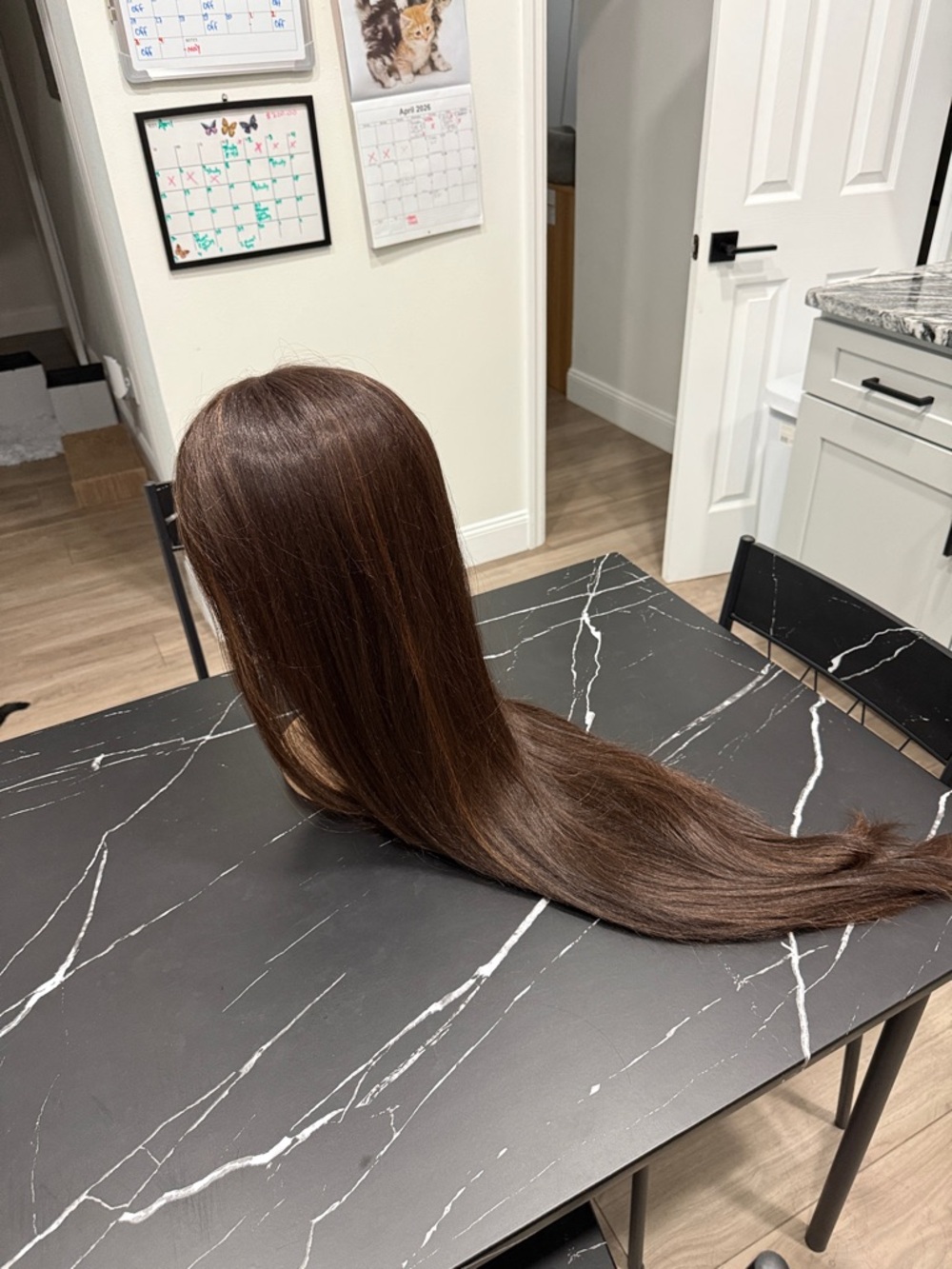 Sleek Natural Brown Women's Wig - Smooth Straight Finish